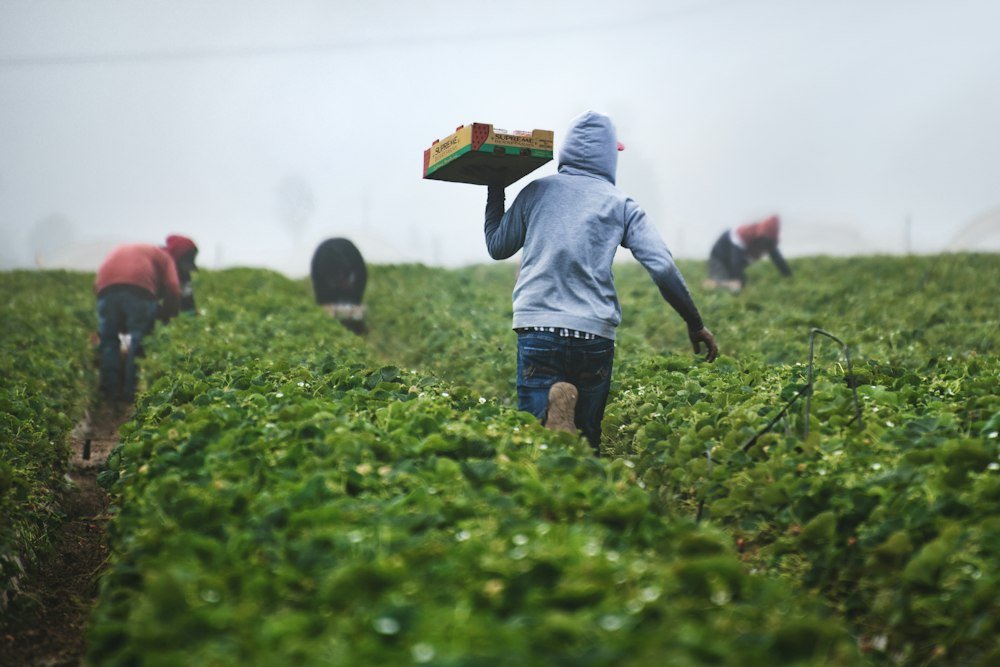 Farmers and community members collaborating in sustainable agriculture